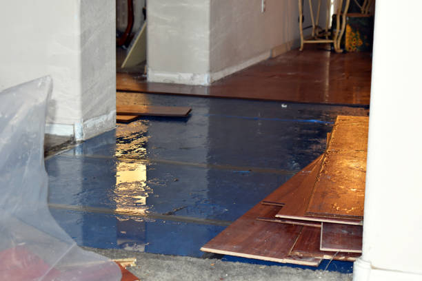 Professional Burst Pipe Cleanup technician working in Quitaque, TX
